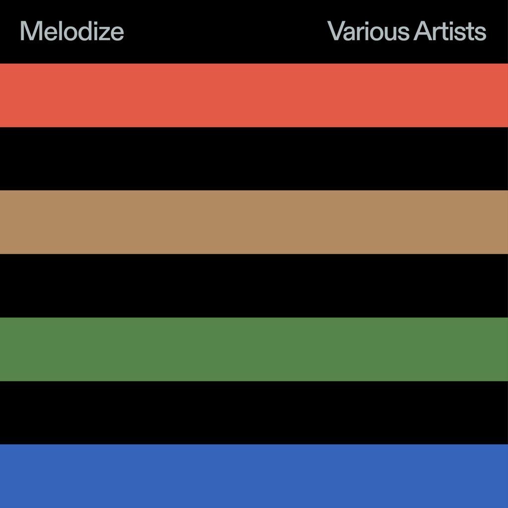 Melodize – Various Artists 1400x1400